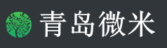 微米网络技术
